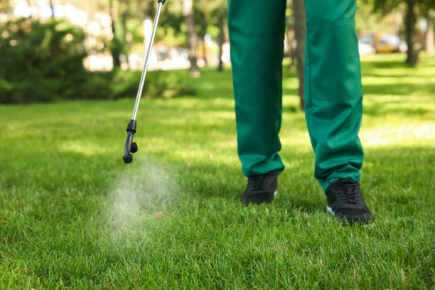 Best Best Pest Control Companies  in Parachute, CO
