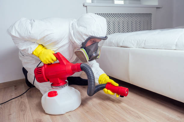 Best Local Pest Control Services  in Parachute, CO