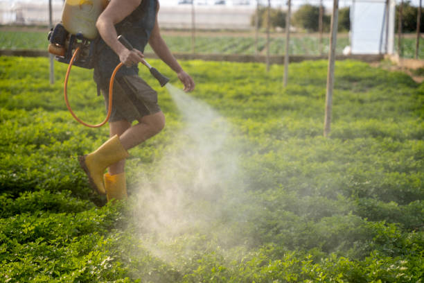 Best Affordable Pest Control Services  in Parachute, CO