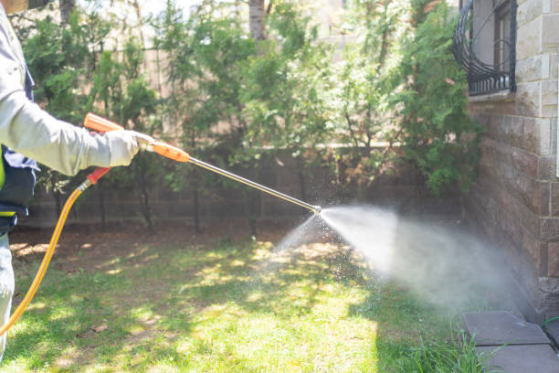 Reliable Parachute, CO Pest Control Solutions