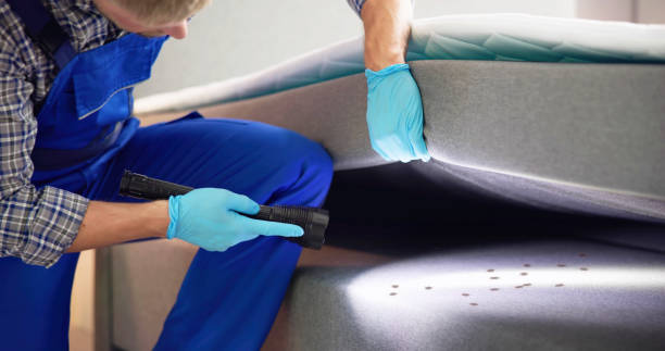 Best Pest Prevention Services  in Parachute, CO