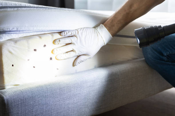 Best Pest Inspection Near Me  in Parachute, CO