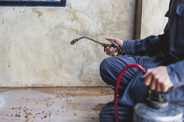 Best Best Pest Control Companies  in Parachute, CO